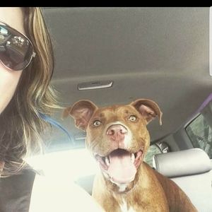 Meet your Posher, Darcie